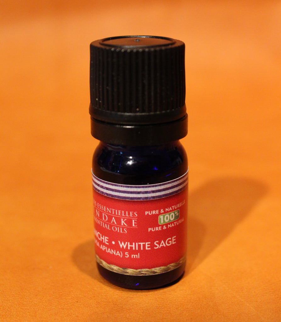 White Sage / Desert Sage (Salvia apiana)
