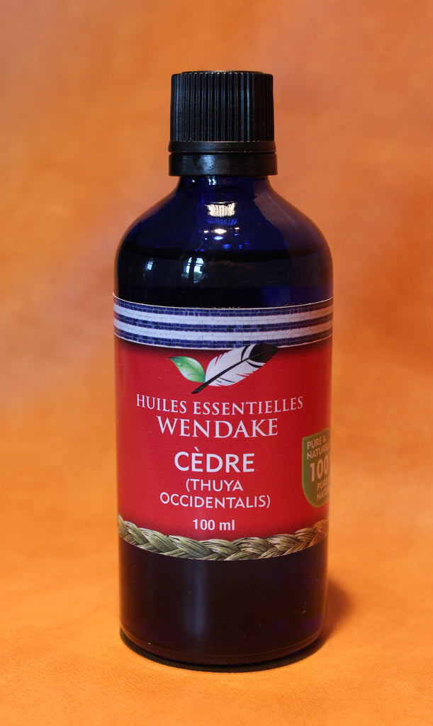 Cedar (Thuya Occidentalis)
