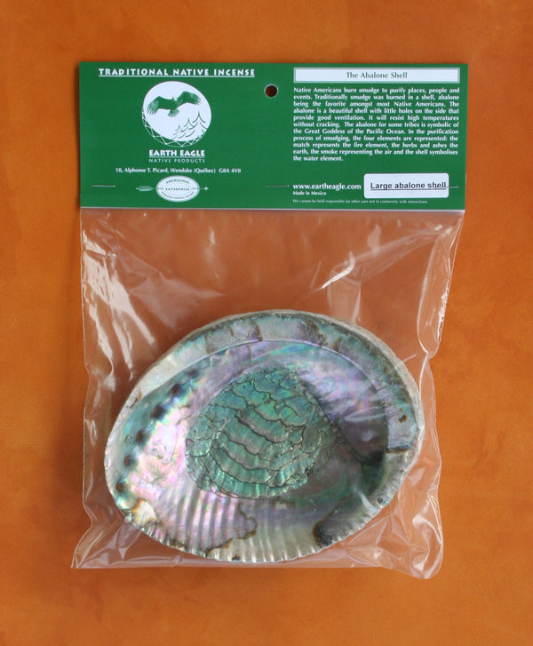 Shell (Abalone)