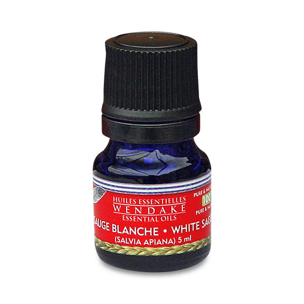 White Sage / Desert Sage (Salvia apiana)