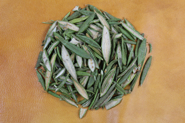 Labrador Lead Tea Labrador Tea – Terre de l'Aigle - Earth Eagle