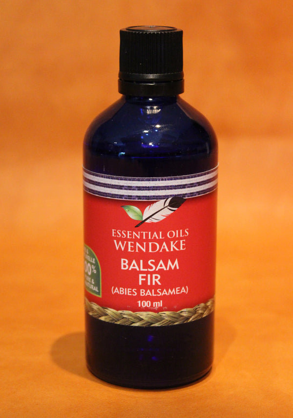 Balsam Fir (Abies balsamea)