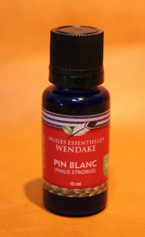 White Pine (Pinus strobus)