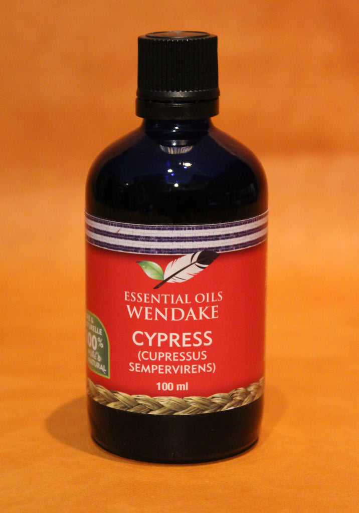 Cypress (Cupressus)