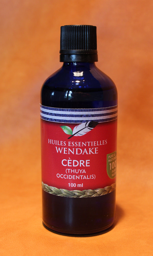 Cedar (Thuya Occidentalis)
