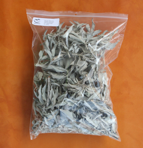 White Sage from California (Salvia apiana)